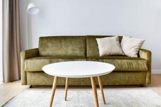 Parko Aveniu Apartamentai B1 - Birštonas - 0
