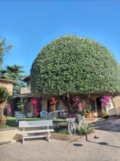 Appartamento VILLA ADRY - Rome - 9