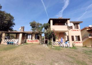 Bouganville - Costa Rei - 7