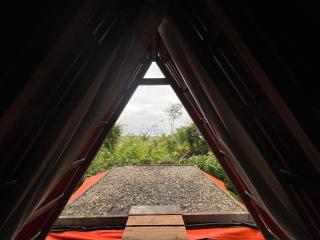 Salvaje trip - Nuquí - 7