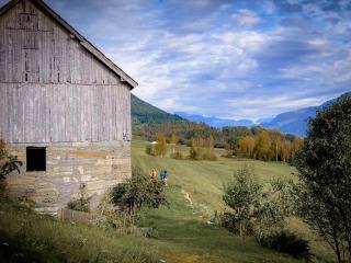 Heggjabygda Gjestegard - historisk tømmerhus i landlige omgivelser - 4