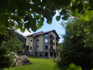 Casa Valea Cernei - Isverna - 9