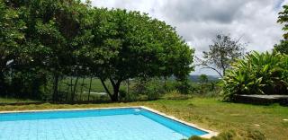 FAZENDA BOSQUE DAs PALMEIRAS - Itamaracá - 9