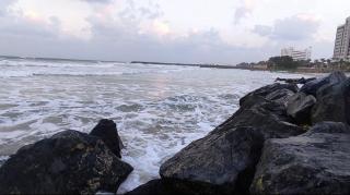 Luluat Alshati - Ajman - 9