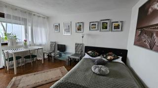 Ferienwohnung Bad Bergzabern - Bad Bergzabern - 1