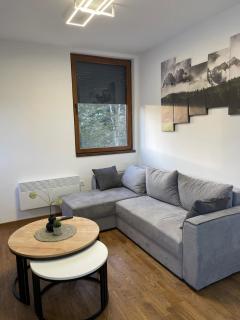 Lux Apartman Talijan54 - Zlatibor - 5
