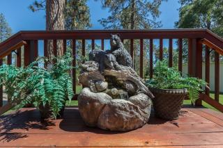 Luxurious Yosemite Pines Lodge, Pool, Spa, Ponies, Views - 4