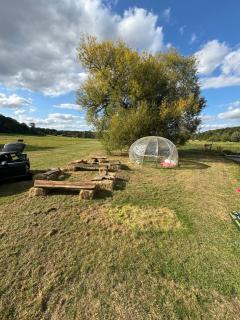 yurt belltent Hertford farm stay - Hertford - 1