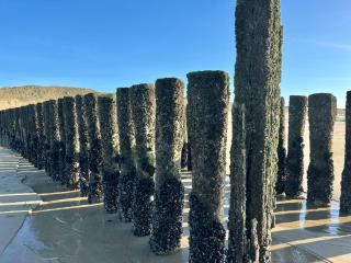 Zeeland Hideaway - Koudekerke - 2