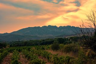 Mas des Collines - Saint-Hippolyte-le-Graveyron - 5