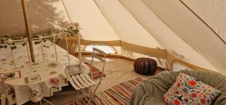 Koppány Pines Rewild Escapes - Wild Bell Tents - 3