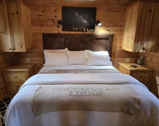 The Copperhead Lodge - Blairsville - 3