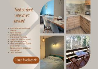 Un séjour ressourçant en Alsace entre vignes et montagnes l'Escapade Barochaise à 20mn de Colmar - 7