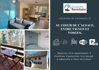 Un séjour ressourçant en Alsace entre vignes et montagnes l'Escapade Barochaise à 20mn de Colmar - 8