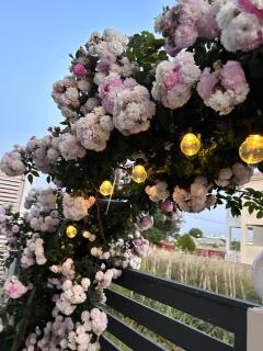 Elsa home - Prévéza - 5