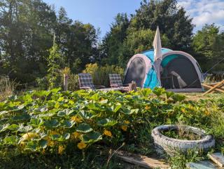 Koppány Pines Rewild Escapes - Wild Bell Tents - 7