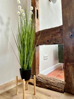 Knusperhäuschen mit Sauna - - 4