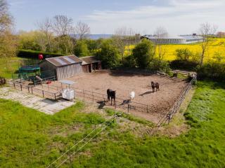 Landhaus Ferienwohnung 1 - Bauernhof Hopp Vadersdorf - Fehmarn - 1