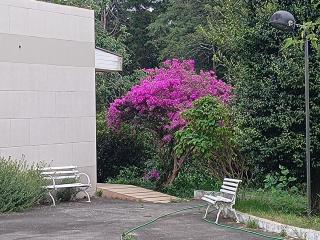 Casa de Retiro - São Paulo - 3