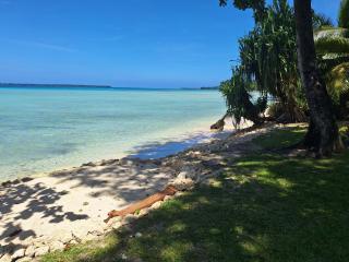 Entire Beach Front Resort Home - Tides Reach Beach House - Saraotou - 8