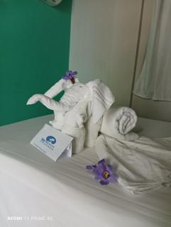 WS Beach Pousada - Porto De Galinhas - 9