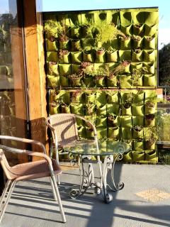 Preciosa cabaña en Fraijanes - Fraijanes - 6