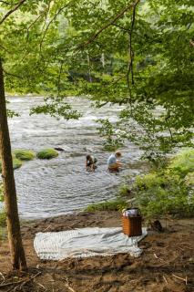 Perch Cottages #7 - Mountain Views, Sauna, Private Creek Access - Boiceville - 1