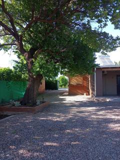 Finca los Ciruelos - 6