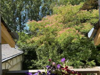 Gîte confortable avec parc boisé, activités familiales et équipements modernes près de la Loire - FR-1-381-470 - Souvigny-de-Touraine - 3