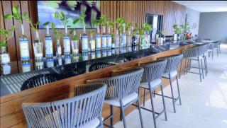 Luxury 1BR condo-Amazing Oceanviews Prime location close to beach - Playa del Carmen - 2