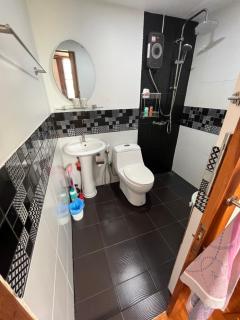 Countryside Rainbow Sweet Home Freshy Pets - 6