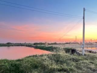 Countryside Rainbow Sweet Home Freshy Pets - Ban Tha Pho - 7