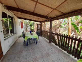 ti bois de nefles cocos duranta - Saint-Louis - 6