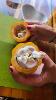 Susanne's Bungalow de Casa Felicidad - 1