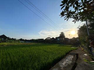Villa Pondok Edi - Ubud - 7