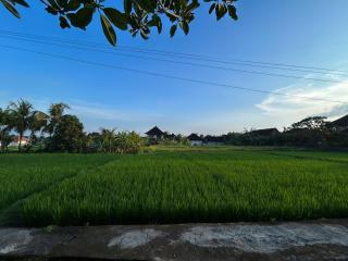 Villa Pondok Edi - 1