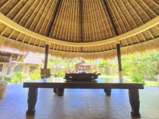 Villa Plawa Asri - Seminyak - 4
