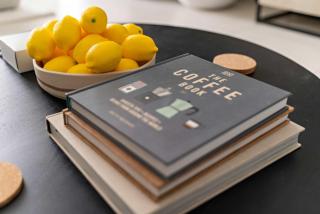 Silkhaus Seaside Studio in Palm Views West Tower - 5