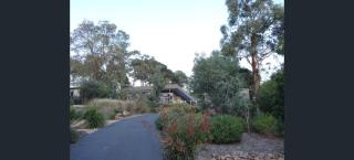 South Beach Beauty - Mount Martha - 4