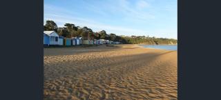 South Beach Beauty - Mount Martha - 3