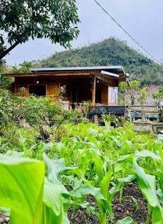 Cat Ba Love House - Cat Ba - 4