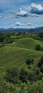 Haloze ForMe - Zavrč - 8