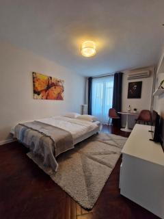 Bucureşti Studio Evis Home - Bucharest - 7