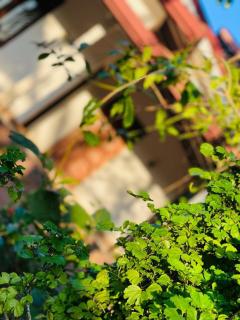 Dunitha Villa - Surrounded by Greenery - 3