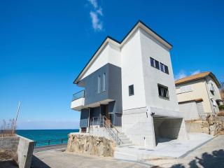 Blue Ocean - Sumoto - 1