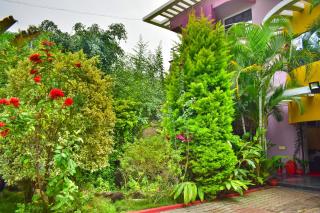 Dolphin Resort - Yelagiri - 4