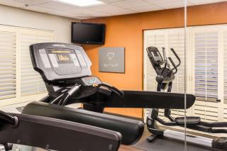 Comfort Suites DFW N-Grapevine - Grapevine - 8