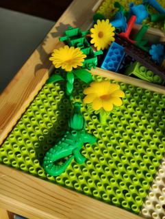 Ascott Raffles City Chengdu - 1