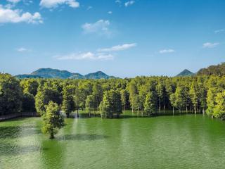 Qingshan Lake Tianlan Hotel Hangzhou - Hangzhou - 6