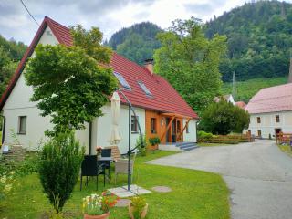 Apartmaji pri Dravi - Podvelka - 9